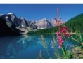 /album/fotogaleria/parques-15-jpg/